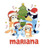 Bluey - Colocar nome nas observações