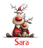 Pai natal  - colocar o nome nas observações